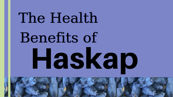 health benefits of montana haskap